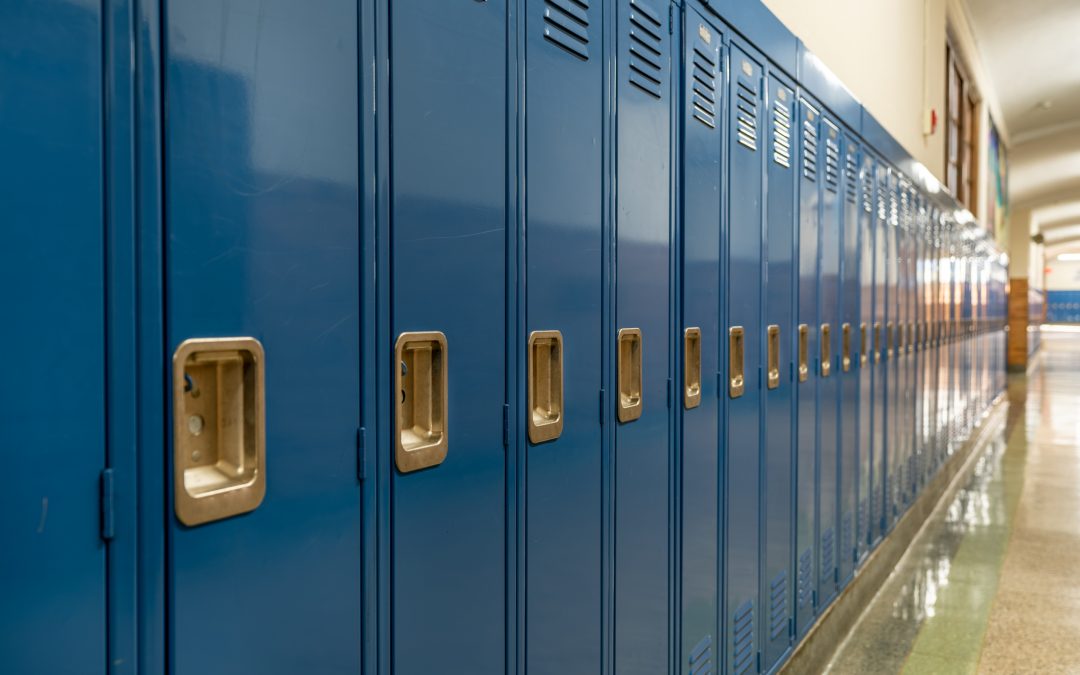 Camilleri, Senate Pre-K-12 Appropriations Subcommittee Reports Most Progressive Education Budget Ever Introduced