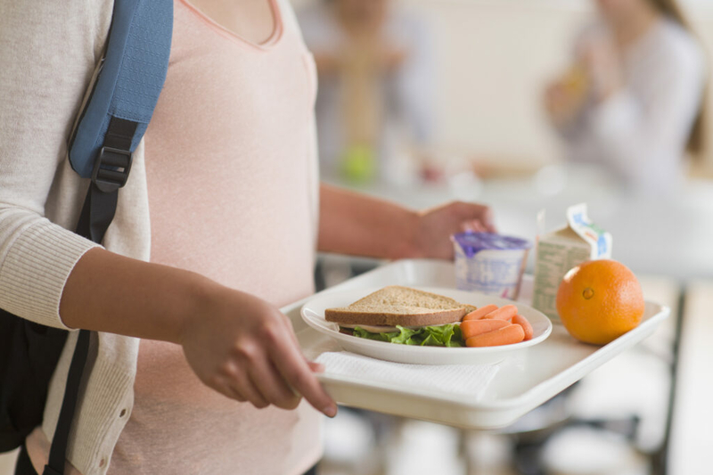 Michigan Advance: The next budget gives kids free school lunches for a year. This bill could make it permanent.
