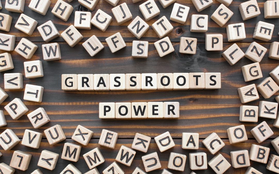 Senate Passes Cavanagh Resolution Establishing Grassroots Week in Michigan June 23-29