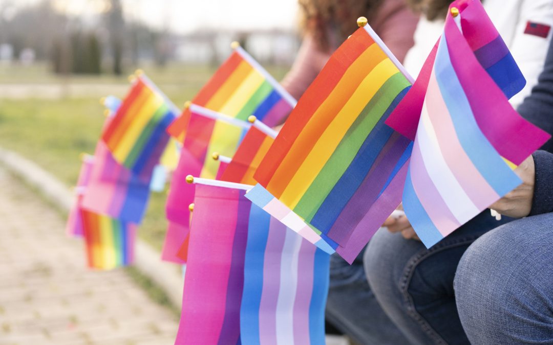Sen. Chang Extends Hand to LGBTQ+ Hamtramck Residents After City Council Resolution Vote
