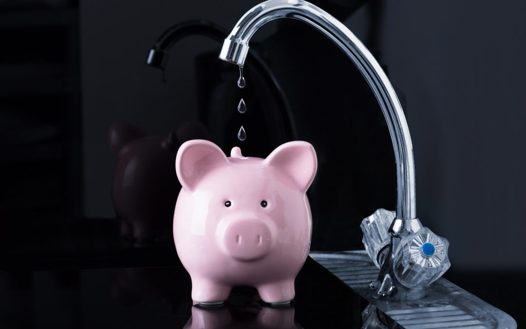 During Drinking Water Week, Legislators and Stakeholders Urge Action on Water Affordability Legislation