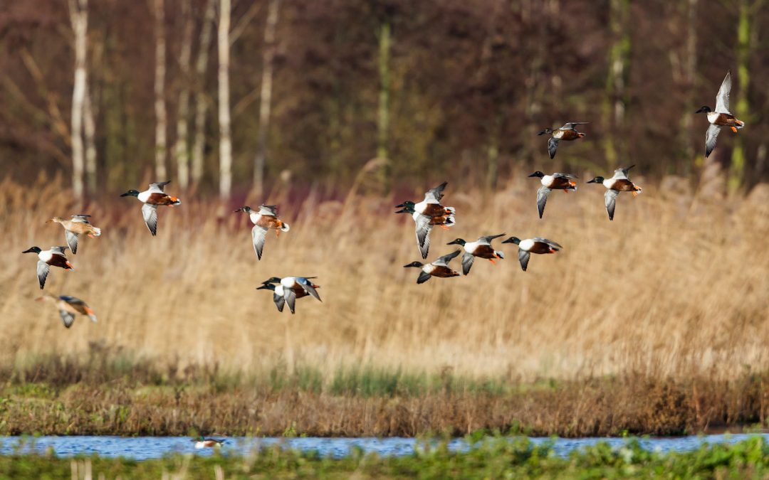 Tackling Hunger in Michigan & Resources for Hunters
