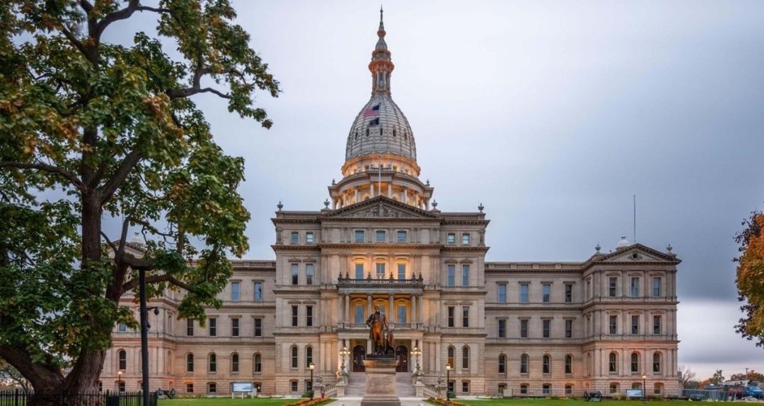 District 1 Community Updates & Resources