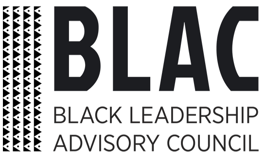 Michigan Senate Passes Senate Bill 840, Codifying the Black Leadership Advisory Council