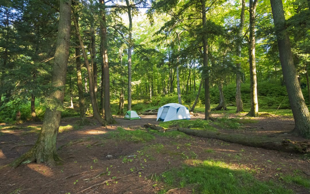 Cancer-Free Camping: Irwin Bill To Keep Harmful Chemicals Off Tents Passes Senate Chambers Unanimously