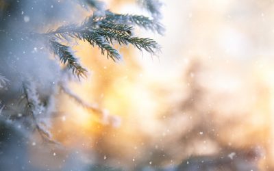 News and Community Resources