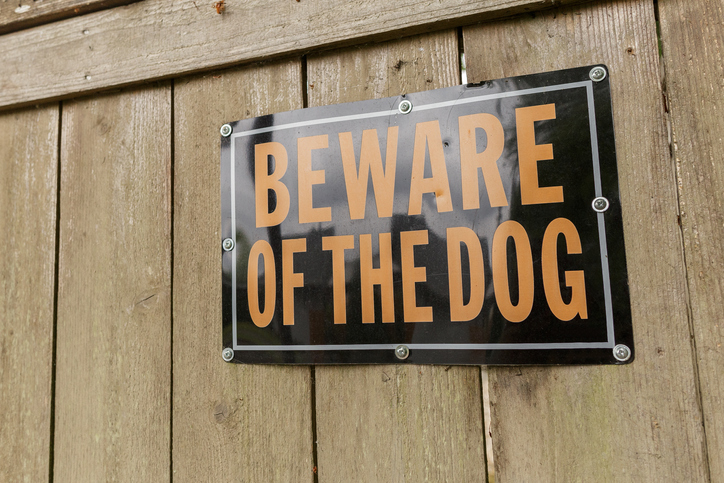 Sen. McCann Reintroduces Legislation to Protect People from Dangerous Dogs