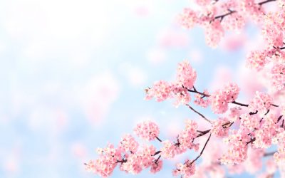 Spring Updates from Sen. Polehanki for District 5