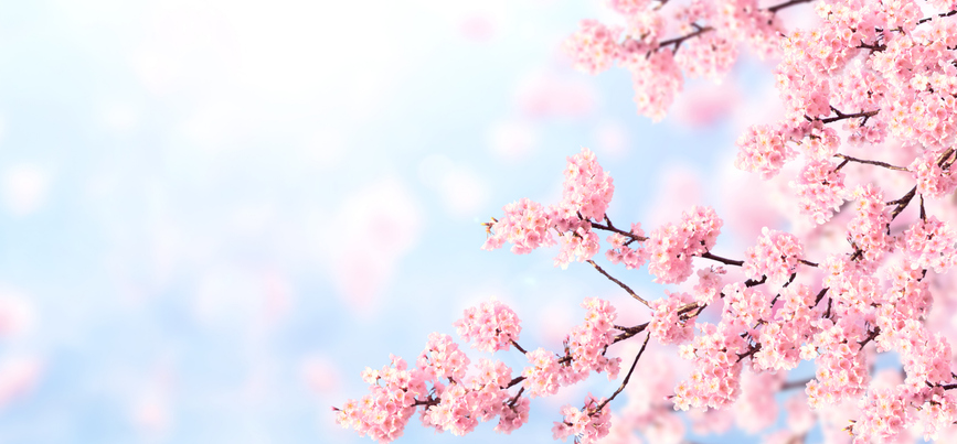 Spring Updates from Sen. Polehanki for District 5