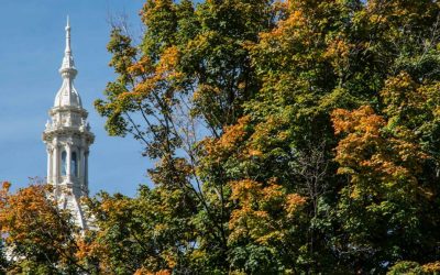 District 14 News & Updates