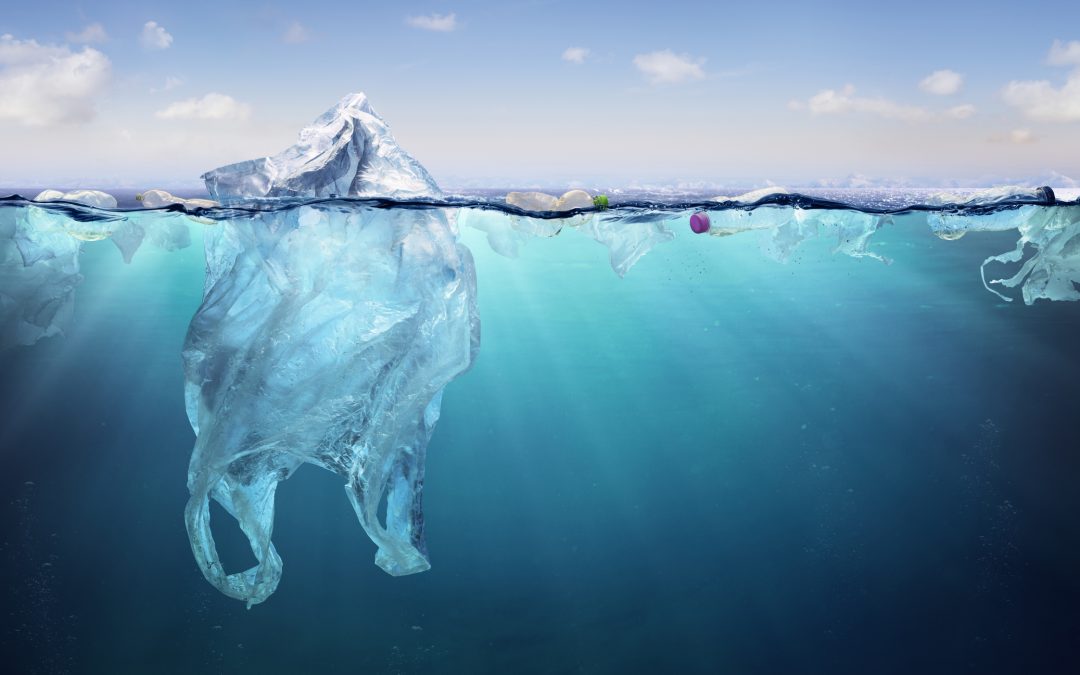Sen. Shink Introduces Sustainability-Centered Legislation to Repeal ‘Ban on Bag Bans’