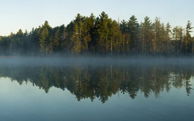 Sen. Shink, Senate Committee on Natural Resources and Agriculture Hear Presentations on Proposal to Conserve 30% of Michigan’s Land and Water by 2030 