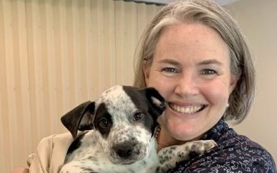 Legislative Updates, Community Resources, Constituent Door Knocking and More