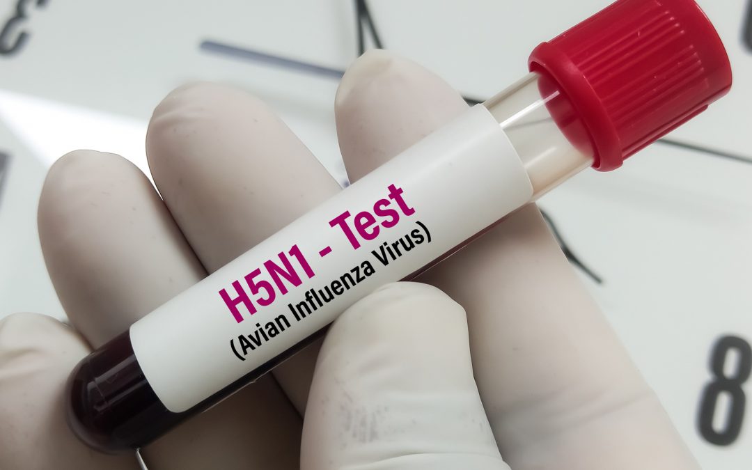 State Legislature Holds Joint Committee on H5N1 in Michigan 