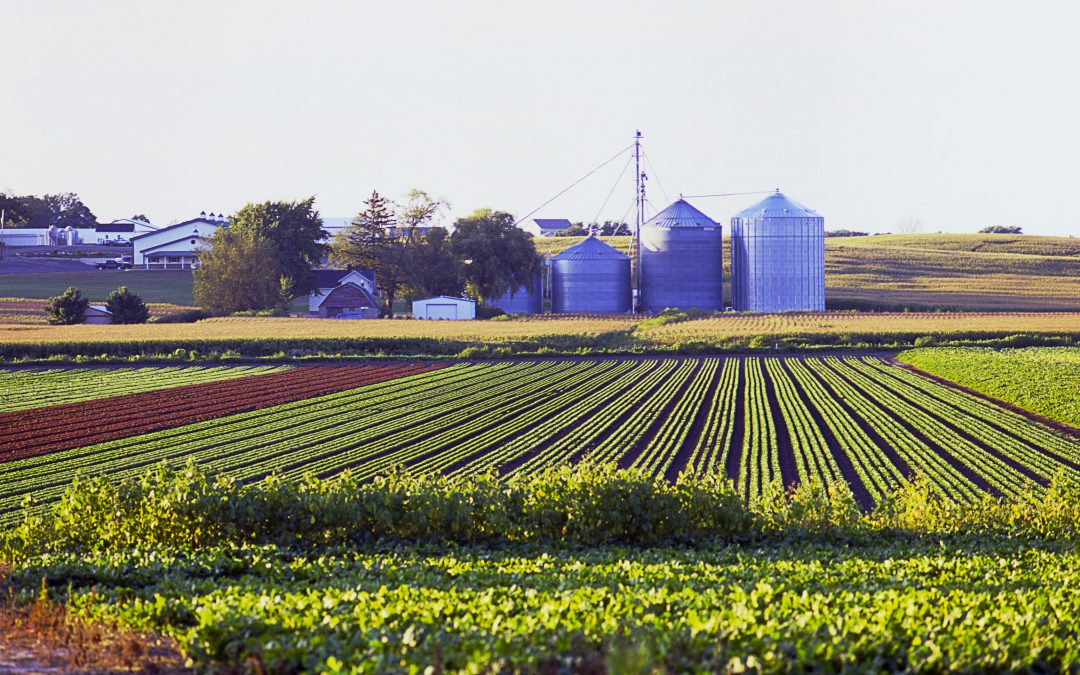Senate Committee Explores How Trump Tariffs Decimate Michigan’s Agricultural Industry 