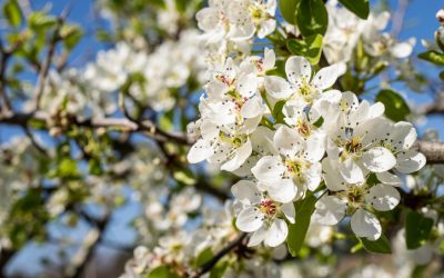 Spring is Here, District 10 Residents!
