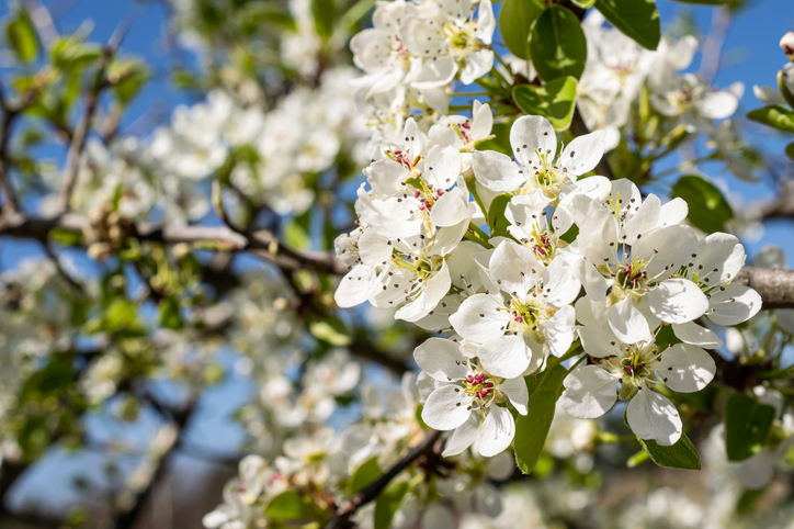 Spring is Here, District 10 Residents!